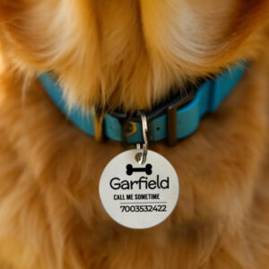 Pet Tags
