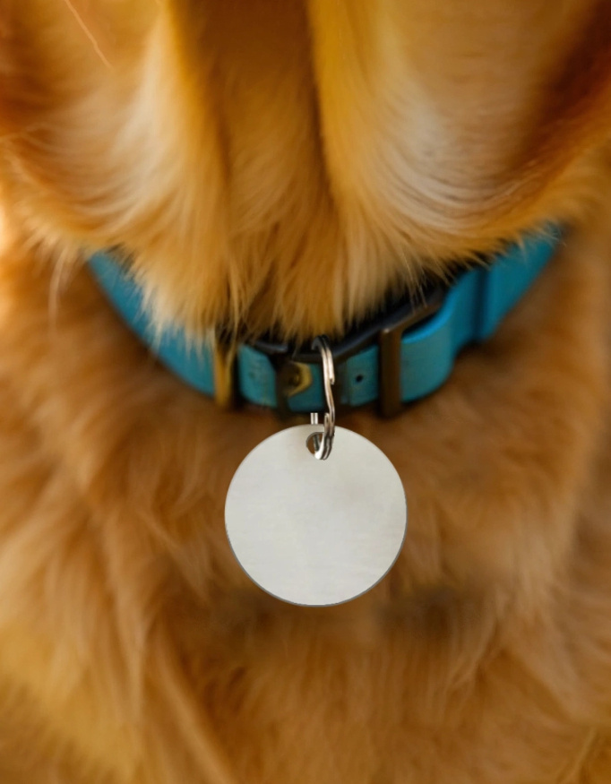 Pet Tags - Image 2